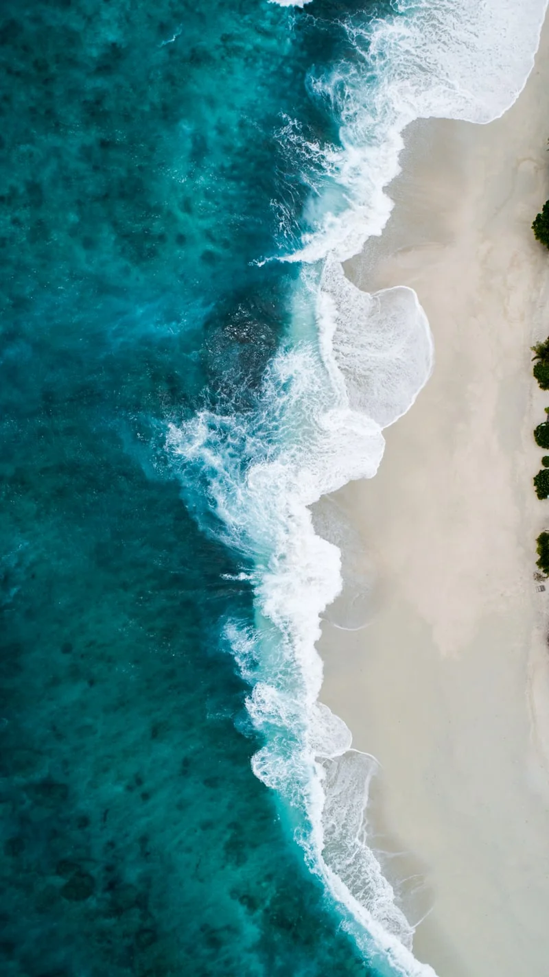 Initiation au surf