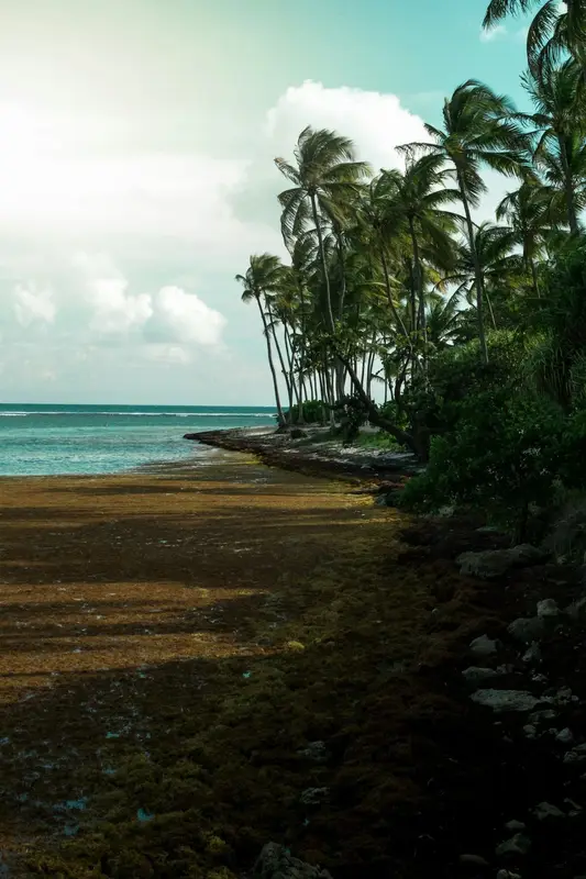 Guadeloupe